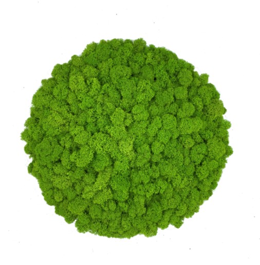 Pre-made Reindeer Moss Island Diameter 42 cm - Spring Green